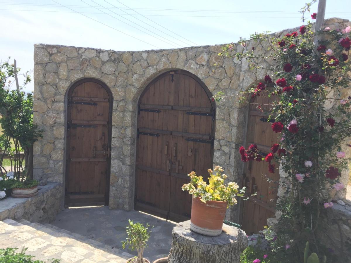 Hotel Beso Patara Exterior foto